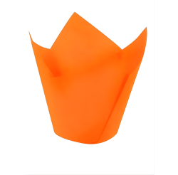 BENSÜS TULIP TURUNCU BÜYÜK 160/50 KEK KLB. 200LÜ - Bensüs