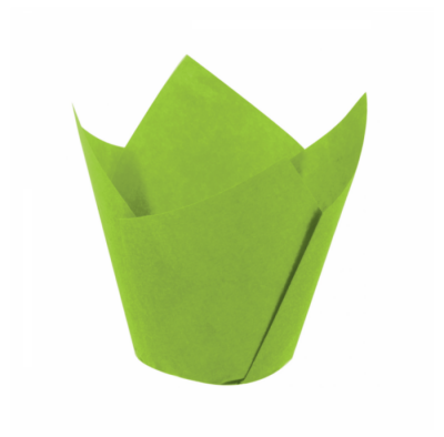 BENSÜS TULIP YEŞİL BÜYÜK 160/50 KEK KLB. 200LÜ - 1