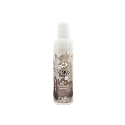 DR.GUSTO 250 ML SPREY BOYA GÜMÜŞ - 1