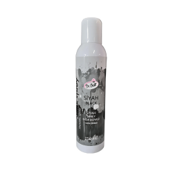 DR.GUSTO 250 ML SPREY BOYA SİYAH - 1
