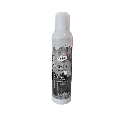 DR.GUSTO 250 ML SPREY BOYA SİYAH - 1