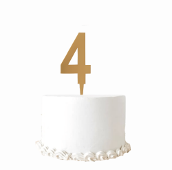 PLEKSİ PASTA SÜSÜ 