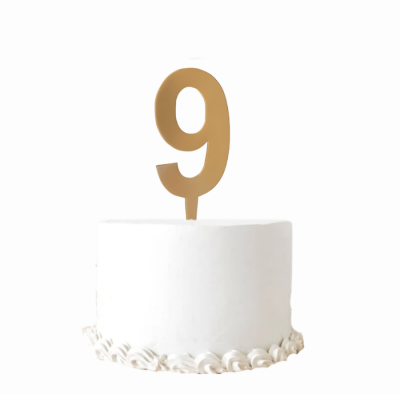 PLEKSİ PASTA SÜSÜ 