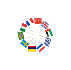 JLY-01 ÜLKE BAYRAKLARI KÜRDAN SÜS*100 - Pastry Planet