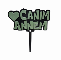 PLEKSİ RENKLİ SÜS 