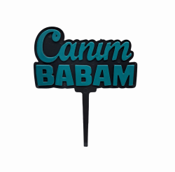 PLEKSİ RENKLİ SÜS 