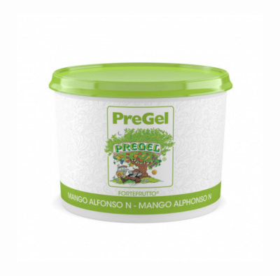 PREGEL 49272 MANGO-ANANAS PASTE 3 KG - 1