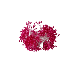 TM-01-6 FUŞYA TOMURCUK - Pastry Planet