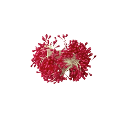 TM-01-9 KIRMIZI TOMURCUK - Pastry Planet